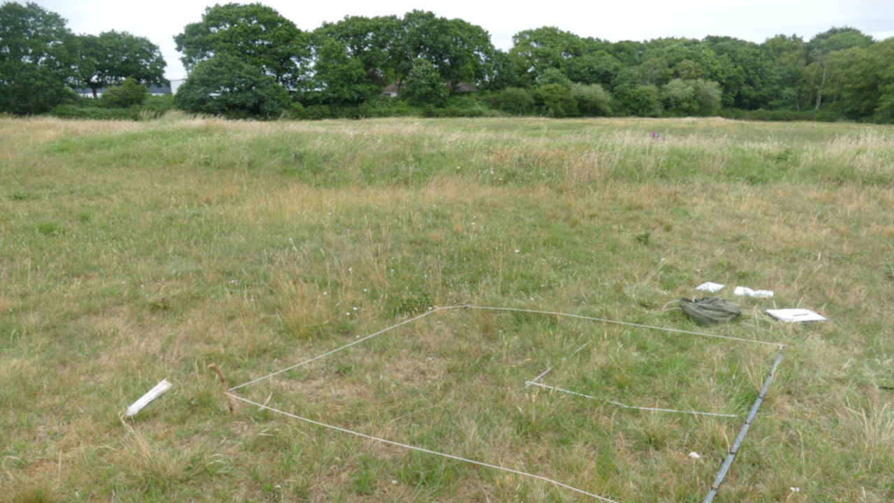 Ecological appraisal