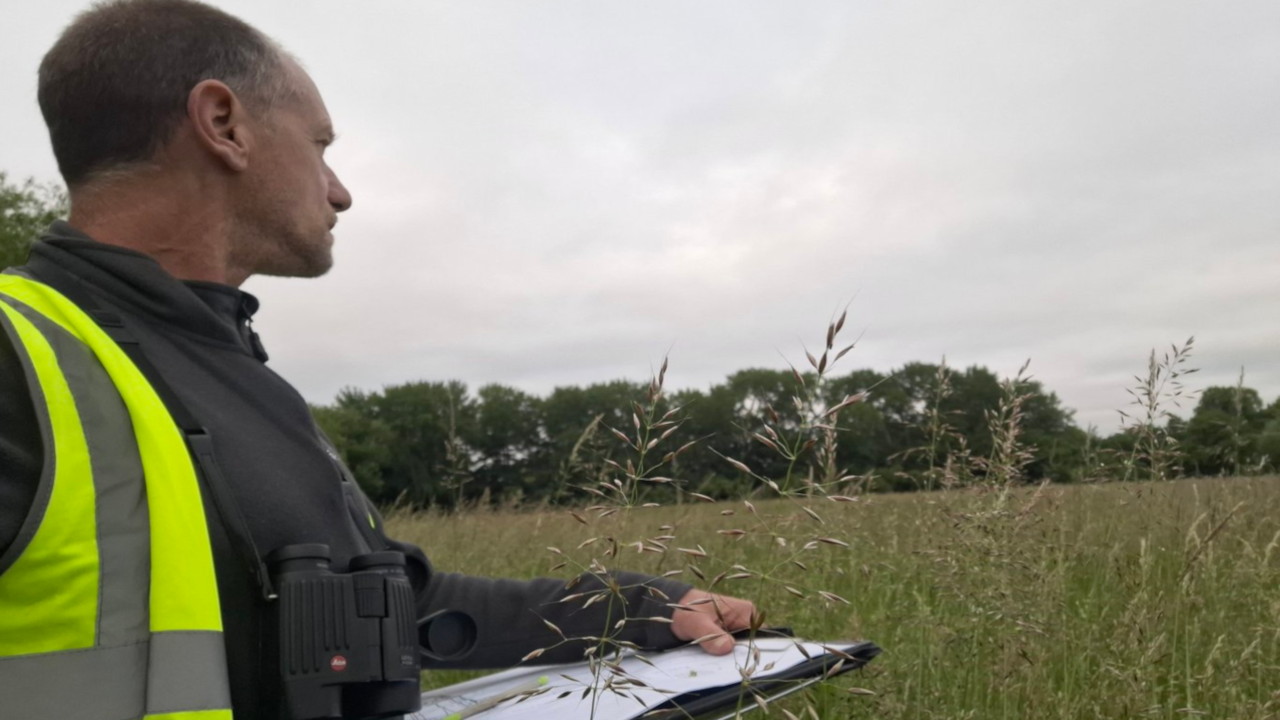Bird surveys